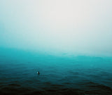 Surfer in Fog