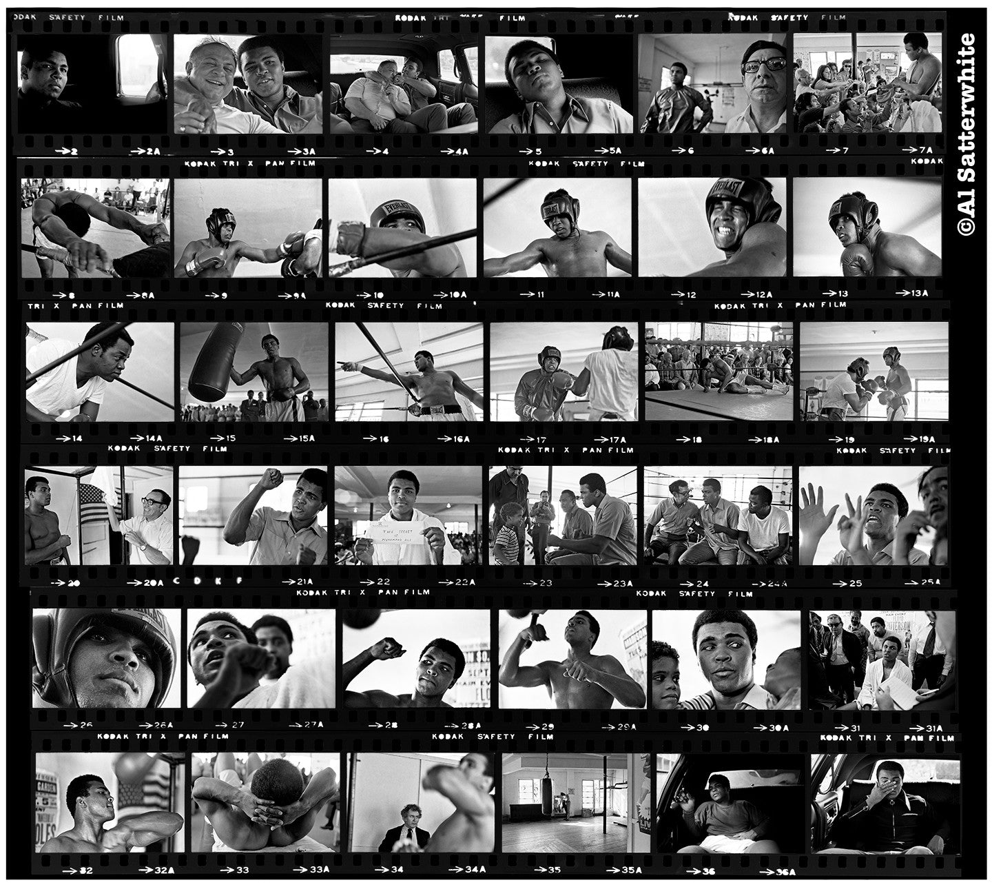Ali Contact Sheet 1B