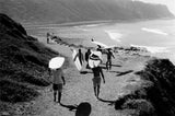 Palos Verdes Cove, 1964