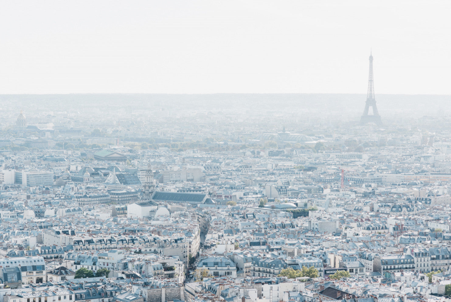 Paris Rooftops