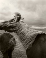 Horse in Mongolia
