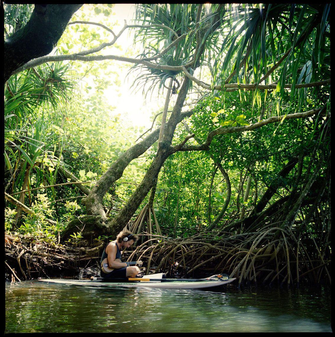 Eddie Vedder in Hawaii