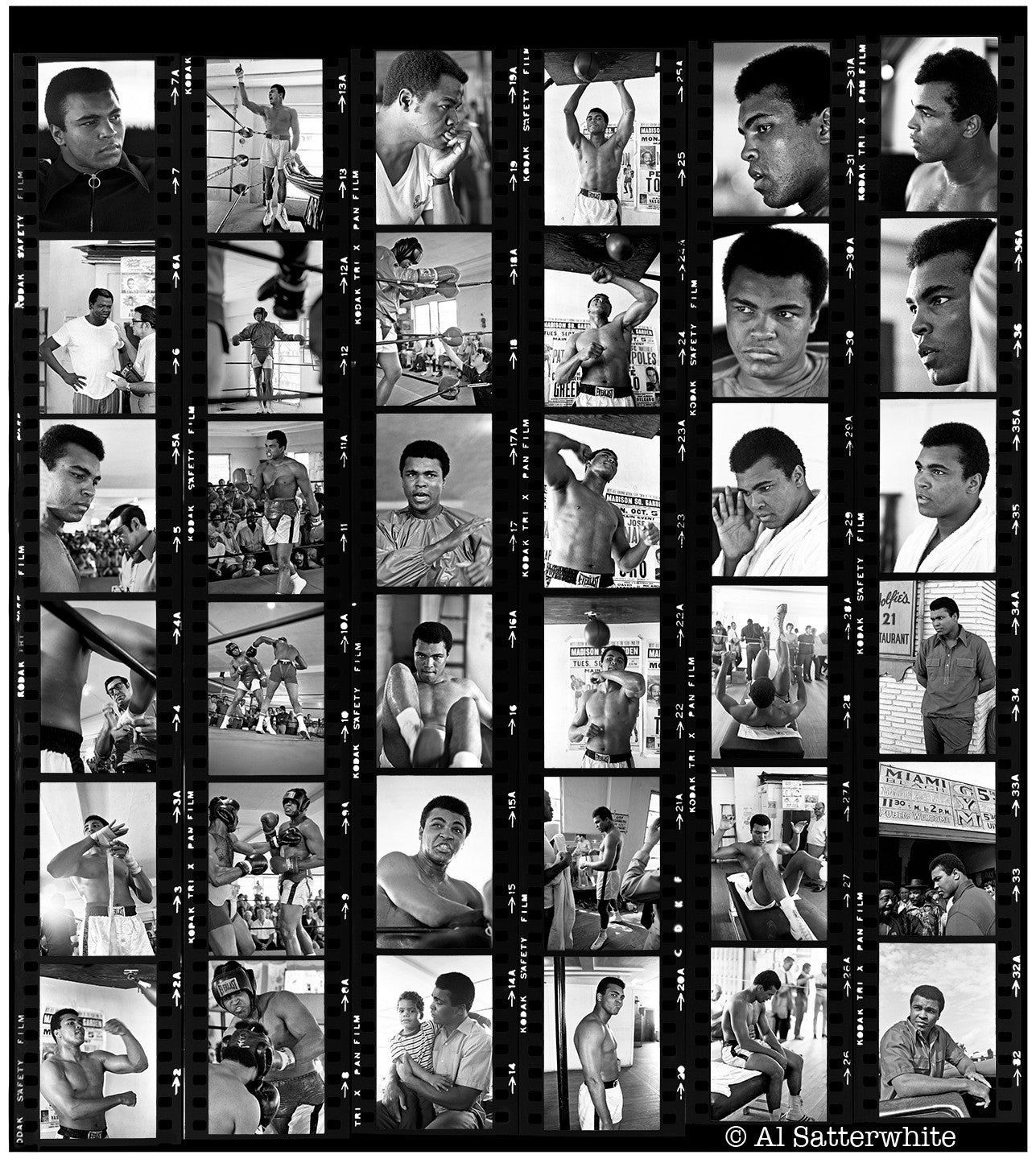 Ali Contact Sheet 2A