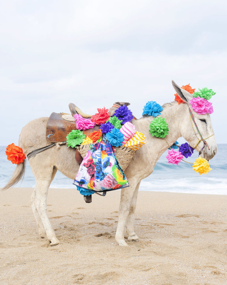 Happy Donkey