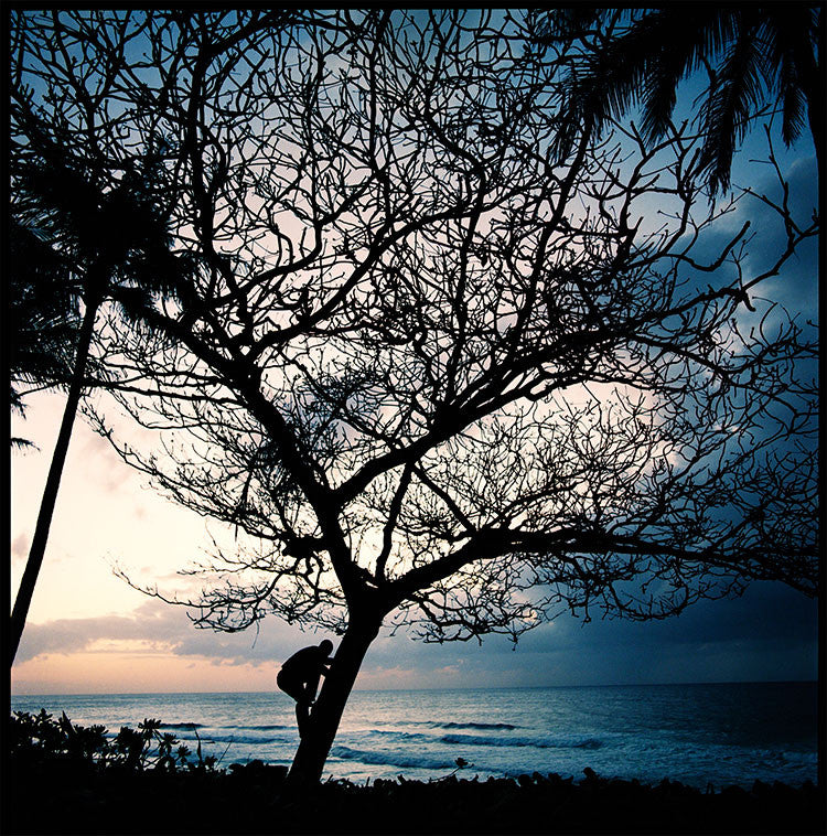 Jack Johnson - Hawaii, 2003