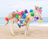 Happy Donkey II