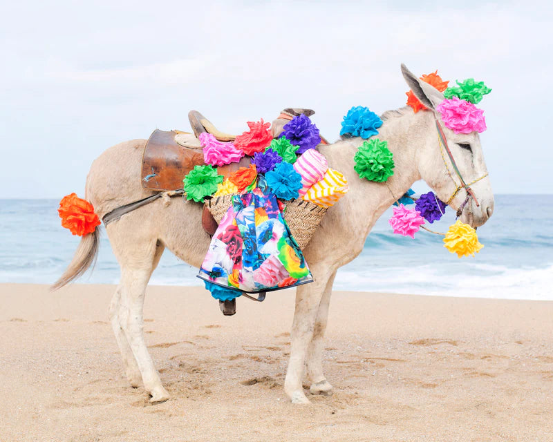 Happy Donkey II