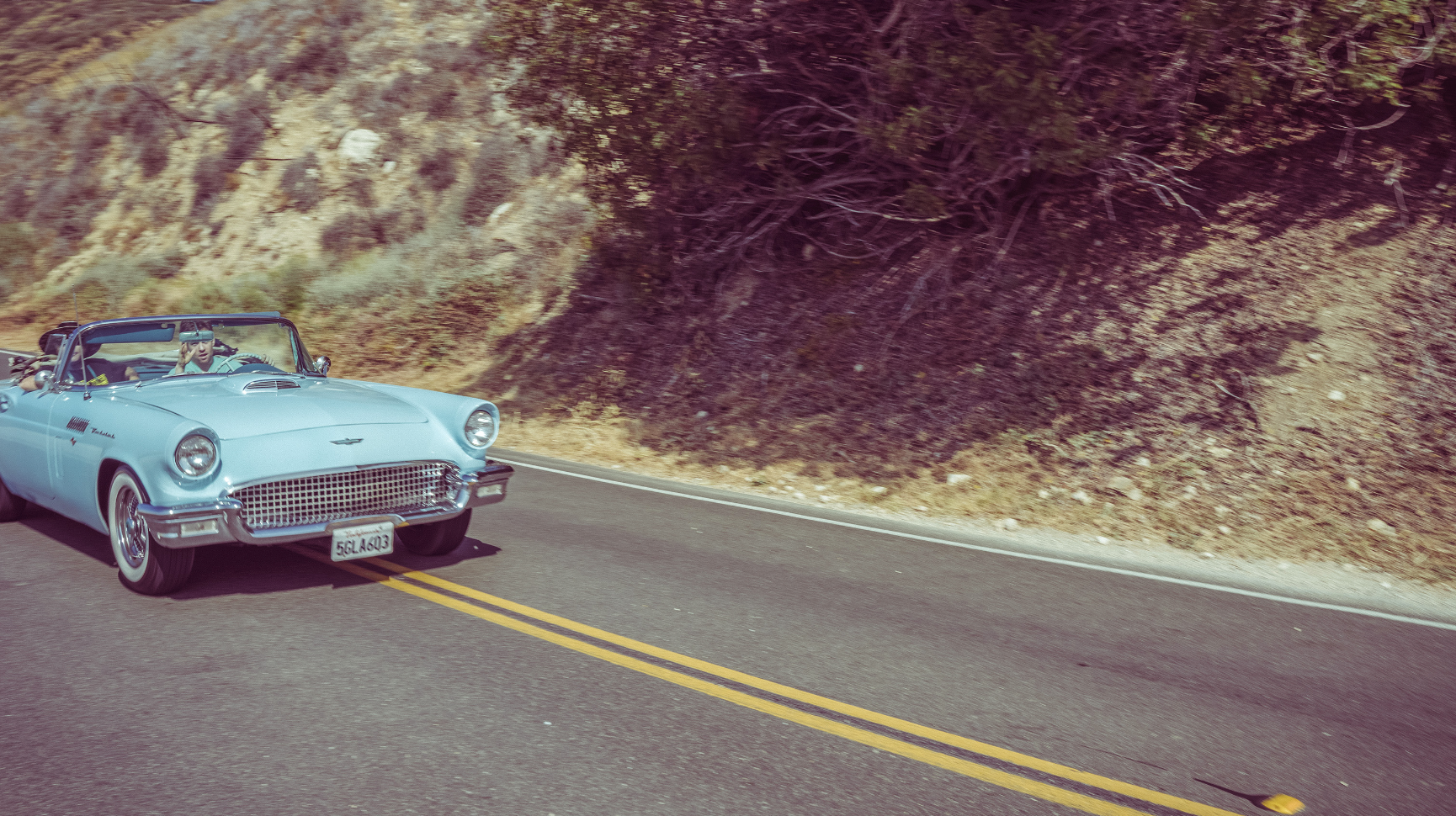 Malibu Cruiser