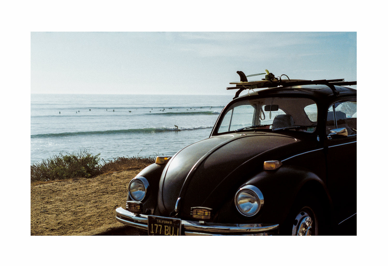VW Bug