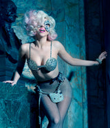 Lady Gaga, 2009
