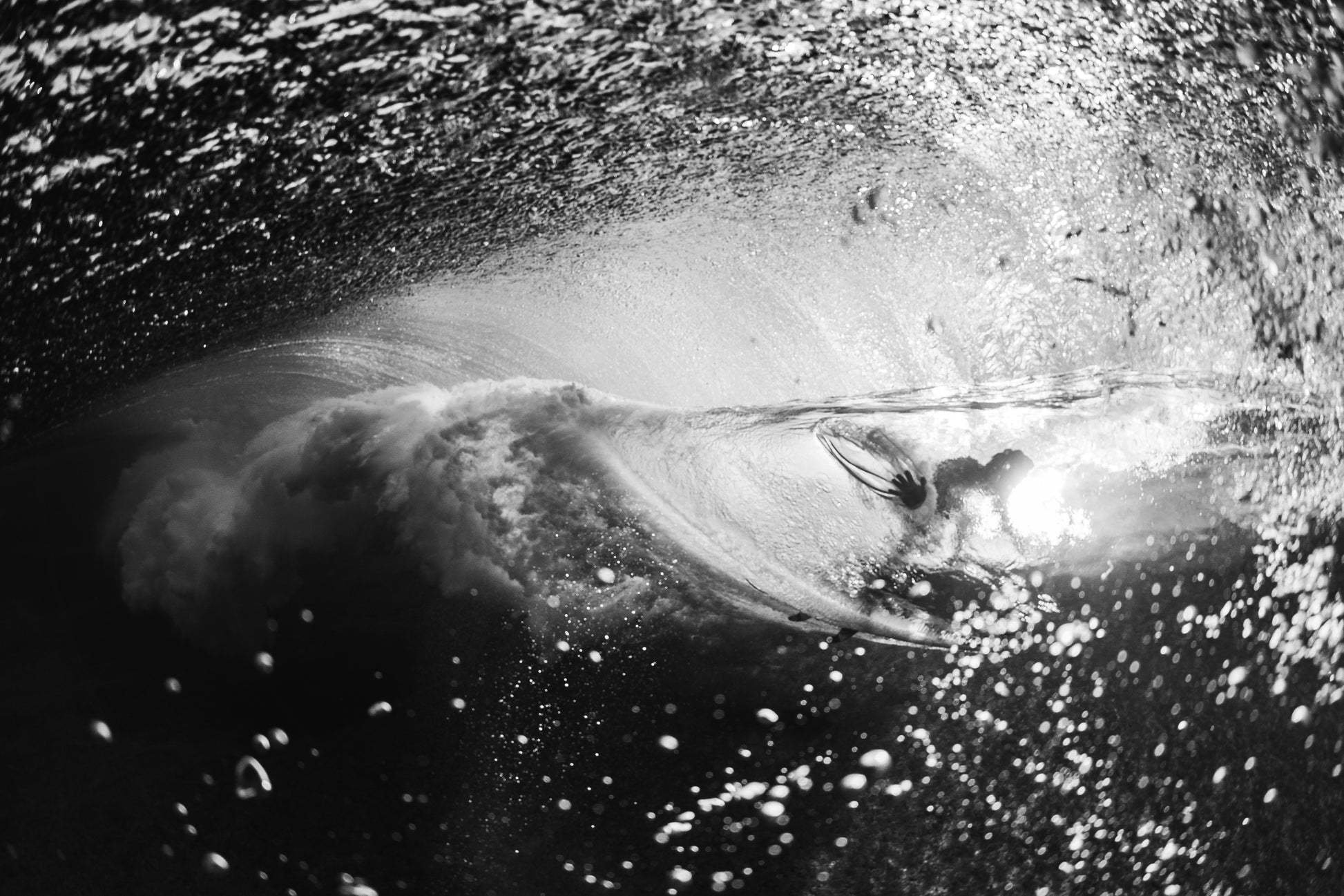 Shinpei Horiguchi, Backdoor Pipe