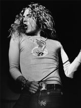 Robert Plant