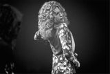 Robert Plant, Led Zeppelin