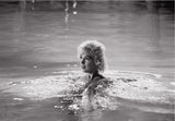 Marliyn Monroe