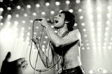 Freddie Mercury