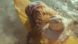 Tropical Paddle Out