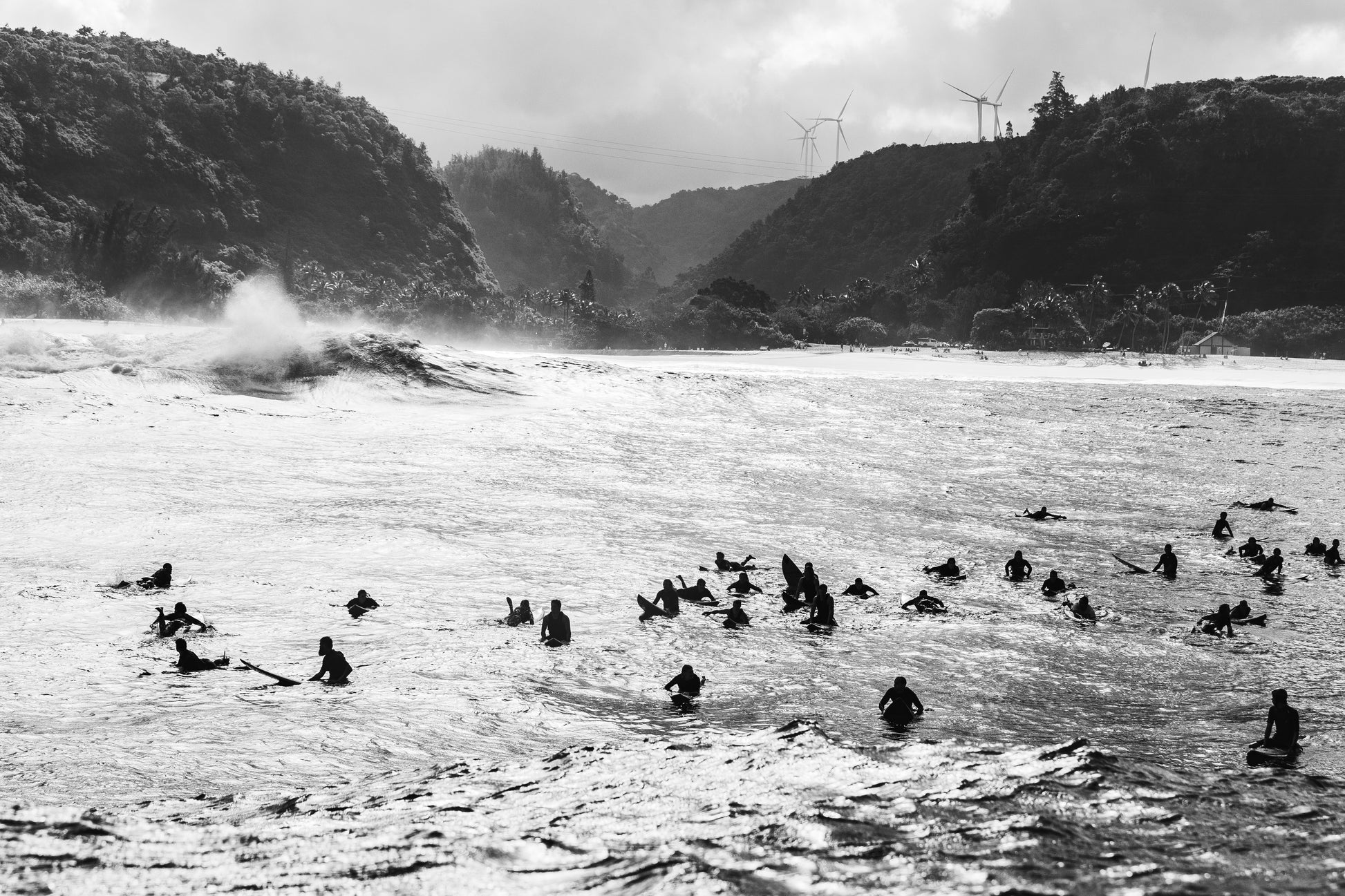 Waimea Bay 2021