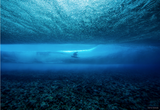 Kelly Slater from underwater in the South Pacific.
