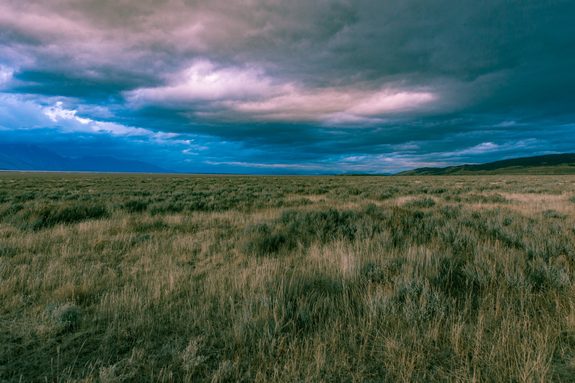 Wyoming 1 