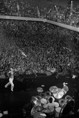 The Who