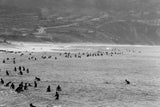 Torrance Beach, 1964