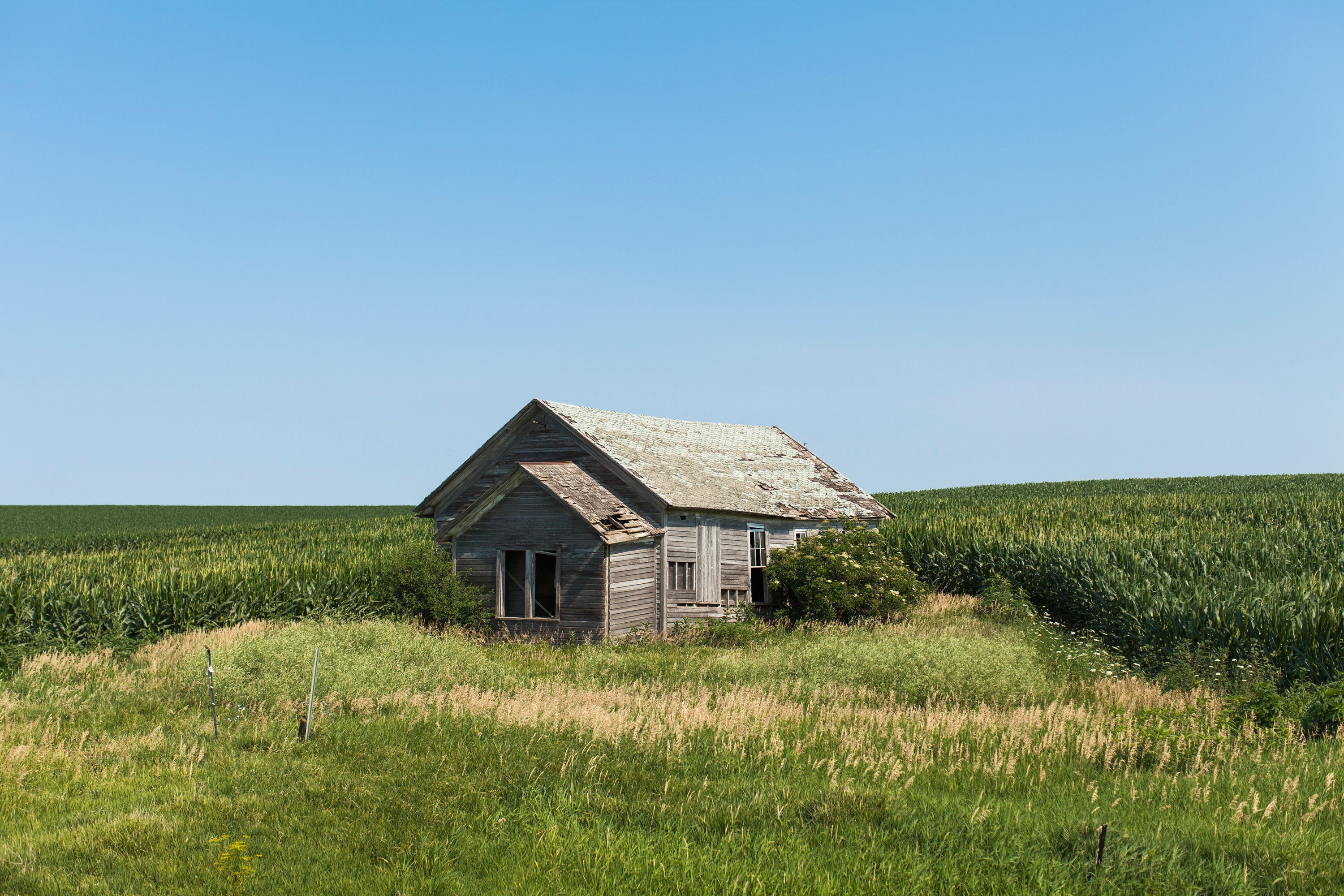 Kansas 1 