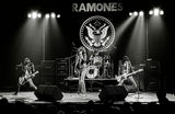 The Ramones