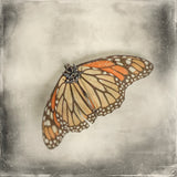 Monarch.jpg