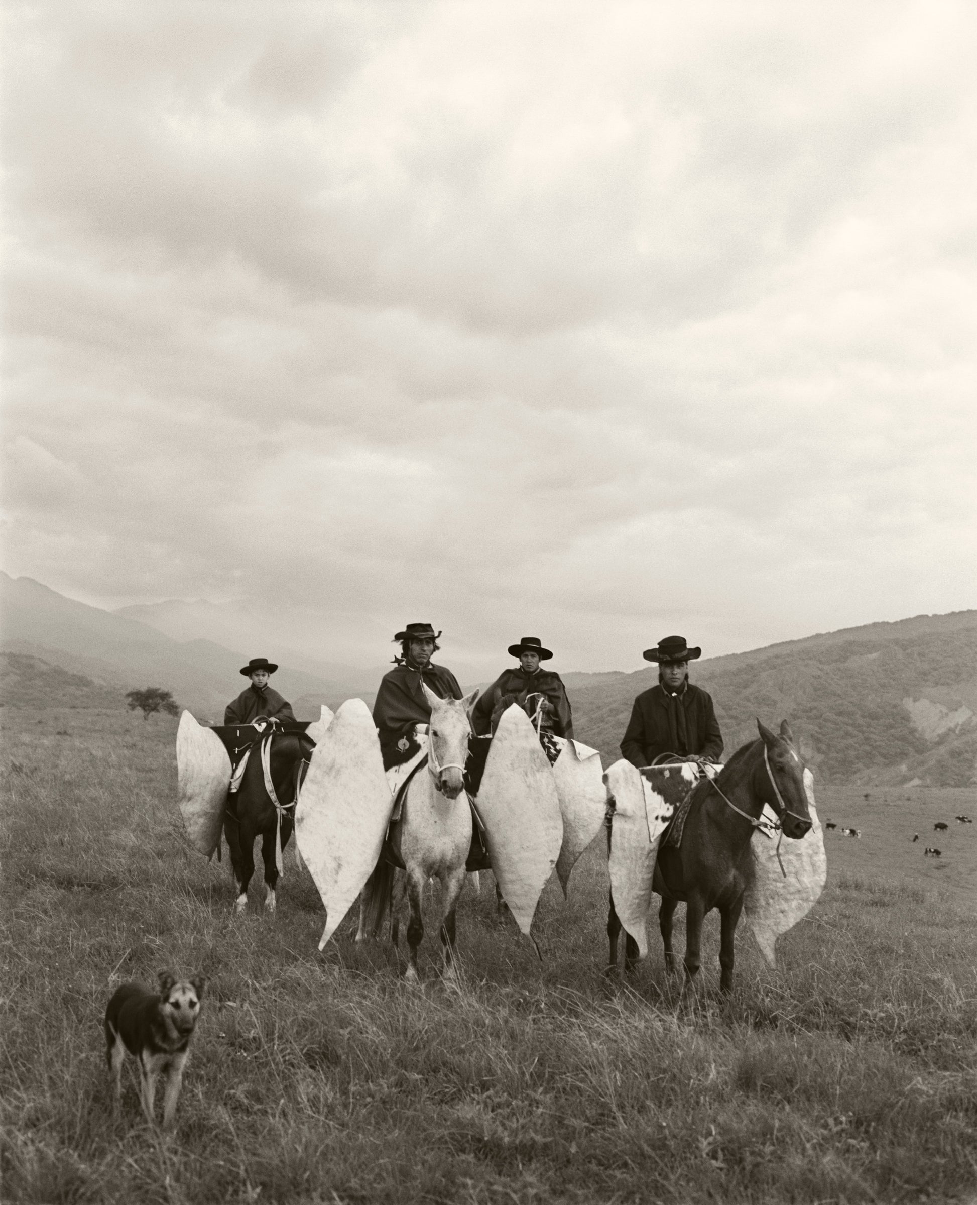 Argentinian Gaucho