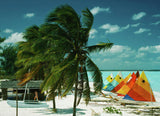 Treasure Cay