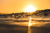 Sunset Lineup At Pipe