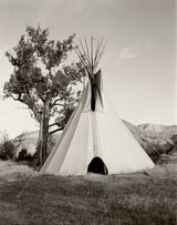 Tipi