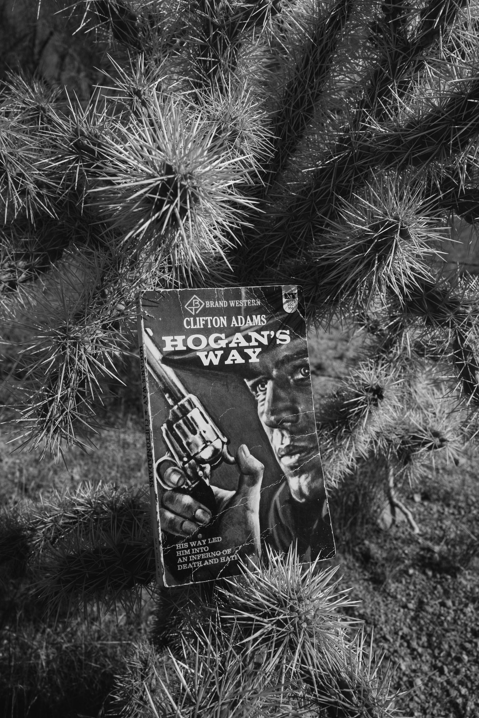 Hogan's Way