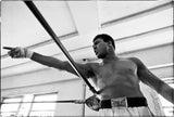 Muhammad Ali